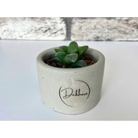 Dekhora Yuvarlak Beton Saksı